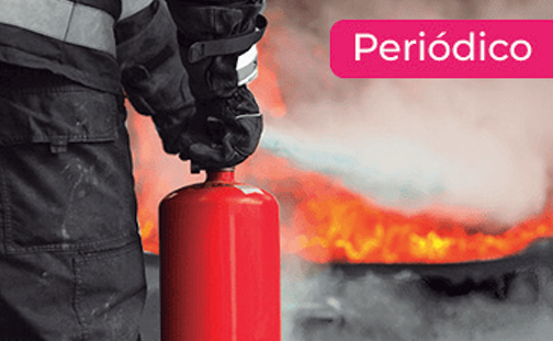 Formação de Brigada de Incêndios Conforme NBR14276 – Básico (Periódico)